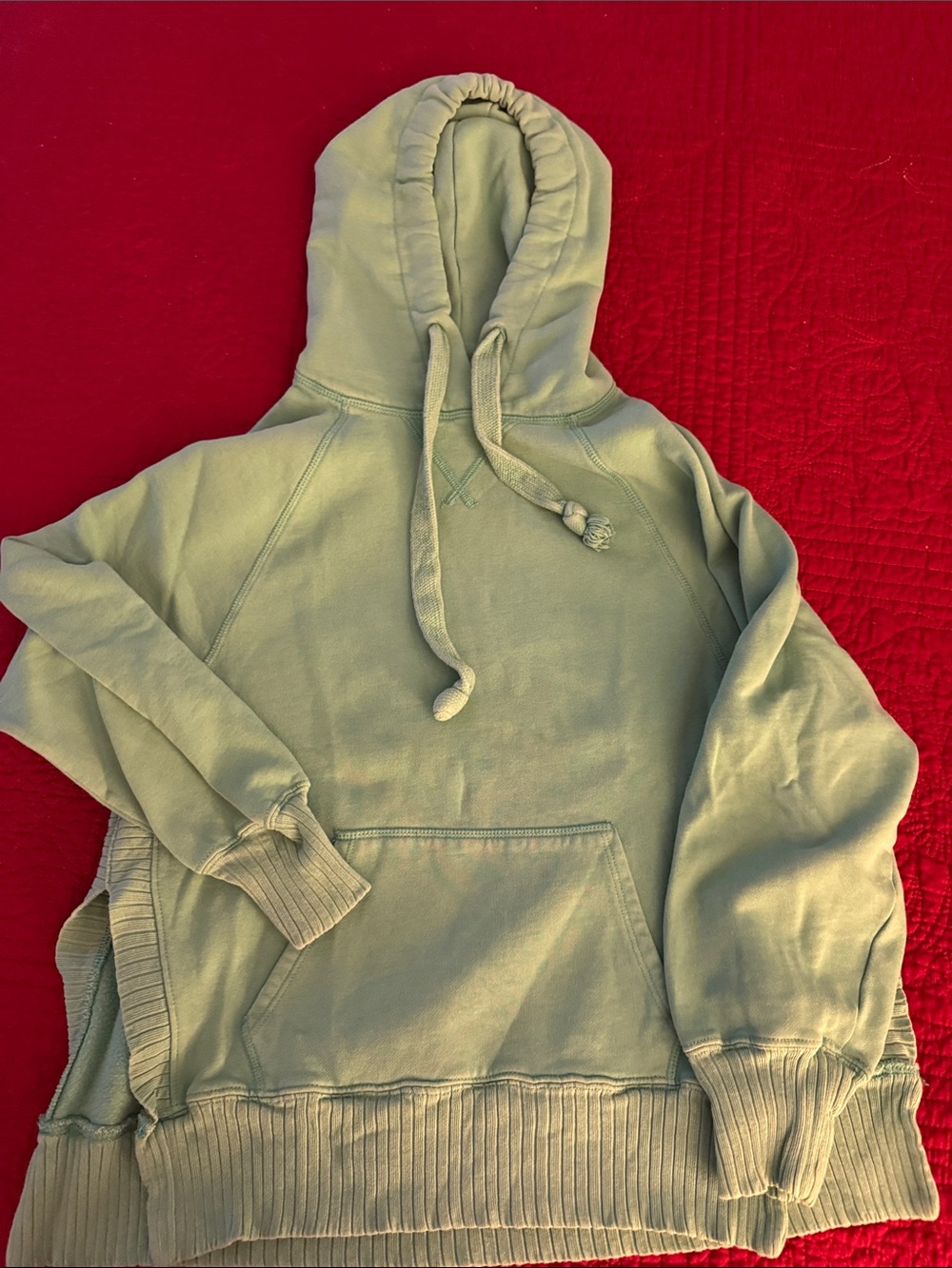 American Eagle Outfitters Sage Green Hooded Sweatshirt